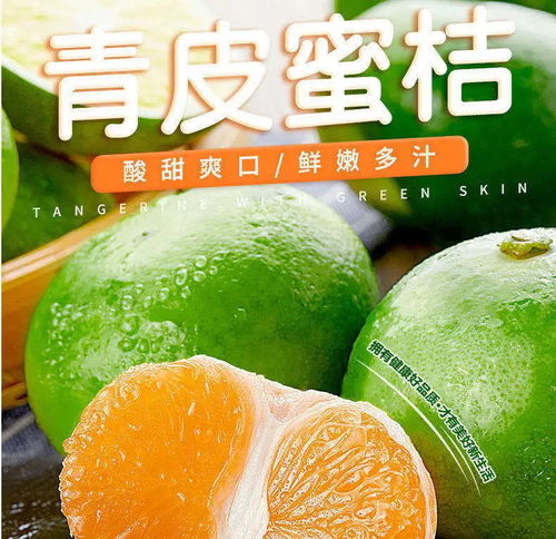 石門蜜橘 孕婦優選的新鮮水果，蜜桔批發全攻略