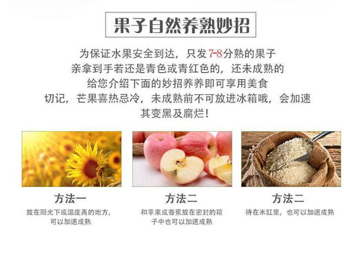 當(dāng)季海南貴妃芒 熱帶甜蜜，整箱直送到家