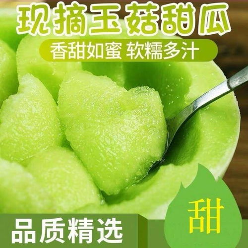 清甜爽脆，夏日瓜香——玉菇甜瓜、哈密瓜、羊角蜜當季批發指南