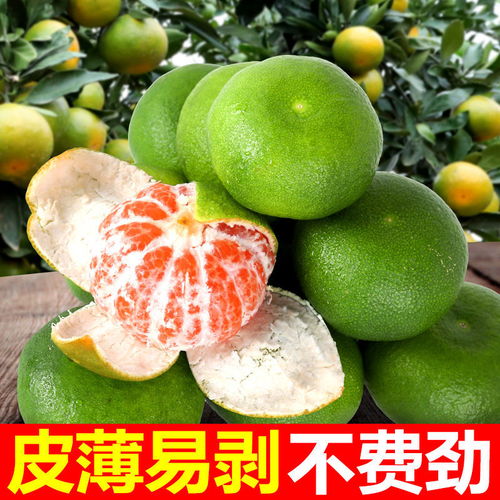 新鮮蜜橘批發指南 薄皮多汁，多倉直發